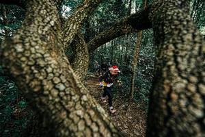 BIB: 
                            <button type="button" onclick="openModal(25392670)" class="btn btn-primary btn-sm float-right btn-popup" data-toggle="modal" data-target=".modal-high-quality">
                        <i class="fas fa-shopping-cart"></i> Add to Cart
                    </button>
                                            <button type="button" onclick="isThisMe(25392670, true)" class="btn btn-success btn-sm float-right btn-popup btn-isme hidden" data-toggle="tooltip" data-placement="bottom" title="นี่คือรูปของคุณใช่ไหม คลิกที่นี่เพื่อเอาเข้าอัลบั้ม">
                        <i class="fas fa-plus"></i> Add to album
                    </button>
                    <button type="button" onclick="isThisMe(25392670, false)" class="btn btn-warning btn-sm float-right btn-popup btn-isnotme hidden">
                        <i class="fas fa-ban"></i> Remove from album
                    </button>